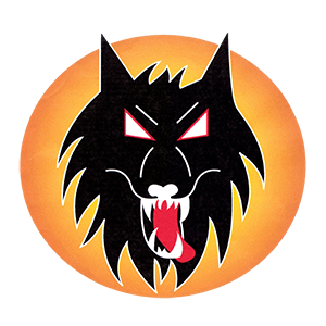 Wolverhampton Wolves