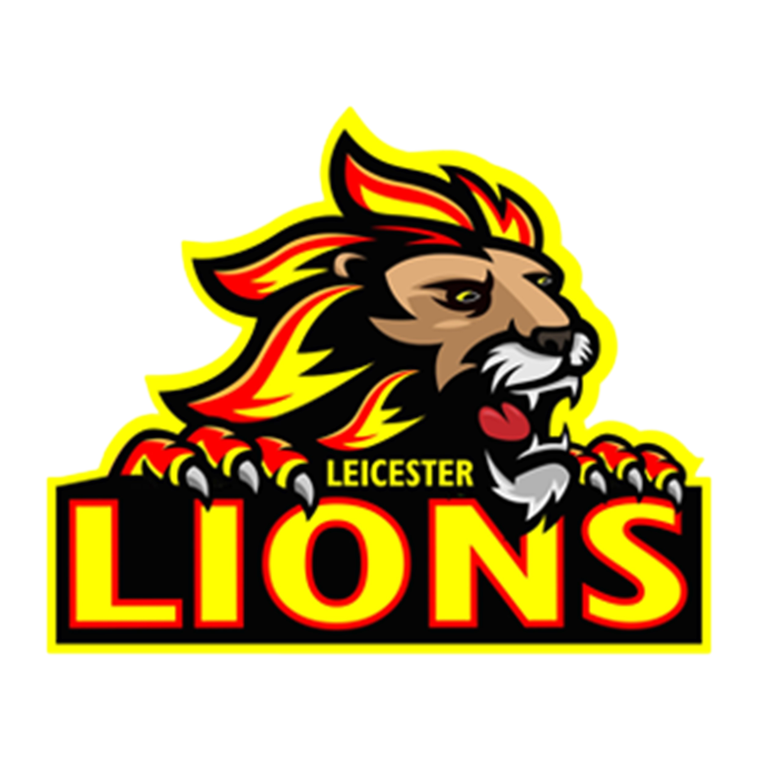Leicester Lion Cubs