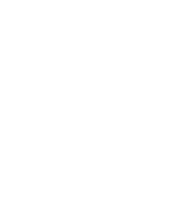 Constellation Cup